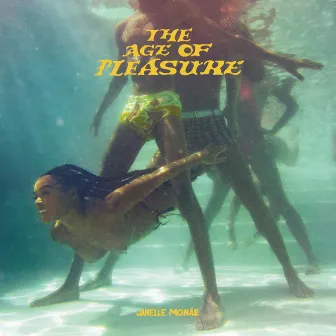 The Age of Pleasure by Janelle Monáe