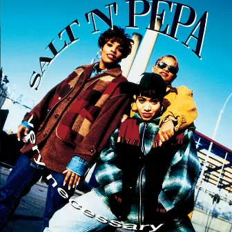 Very Necessary by Salt-N-Pepa