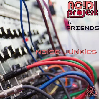 Noise Junkies by AcidProjekt