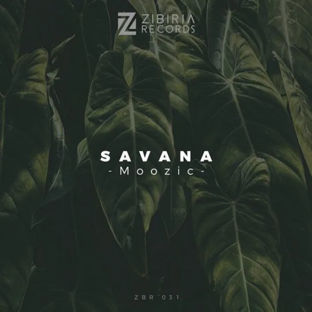 Savana