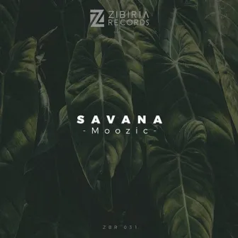 Savana by Moozic