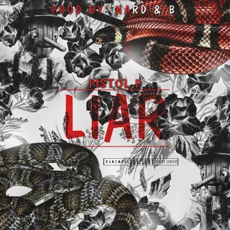 Liar by Pistol P