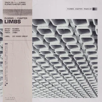 Limbs by PLGRMS