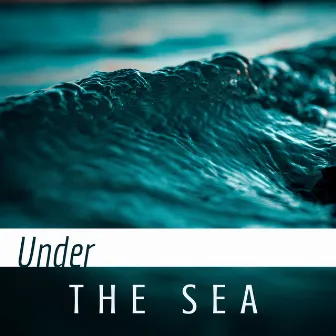 Under the Sea - Deeply Relaxing Underwater Sounds by Sean Clear