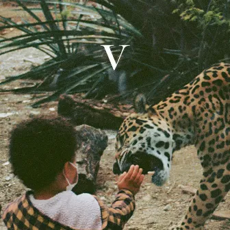 V by Unknown Mortal Orchestra