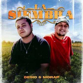 La Siembra by Desio