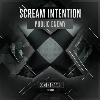 Public Enemy by Scream Intention