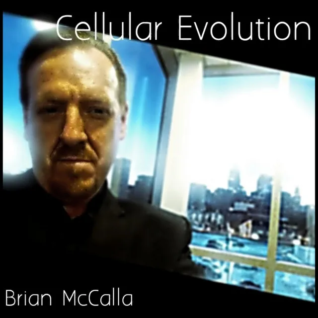 Cellular Evolution