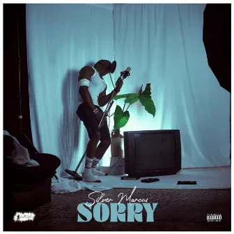 Sorry by Silver Marcus