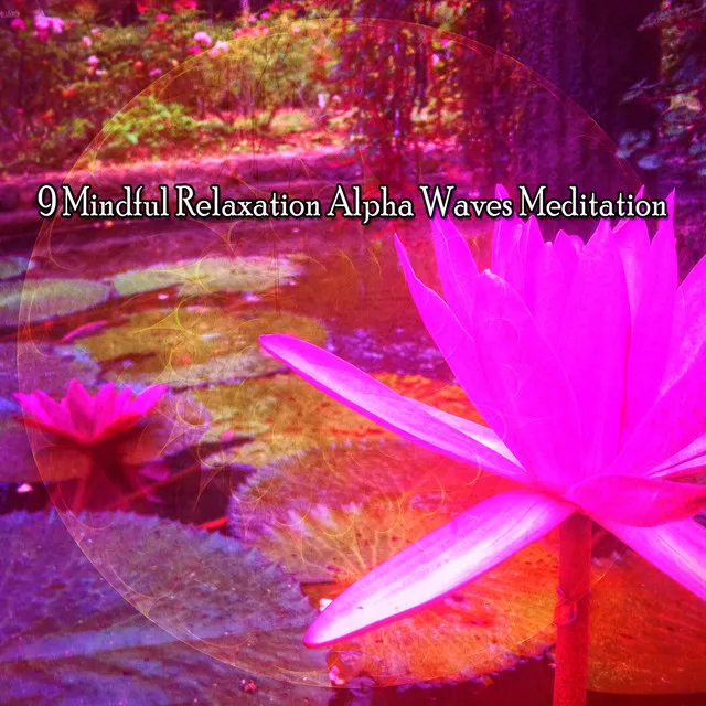 9 Mindful Relaxation Alpha Waves Meditation