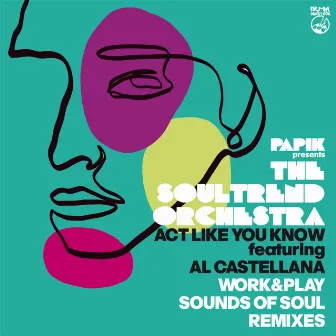 Act Like You Know (Remixes) by Al Castellana