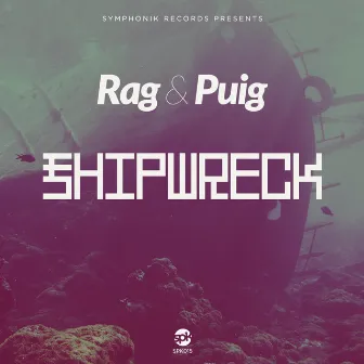 Shipwreck by Puig