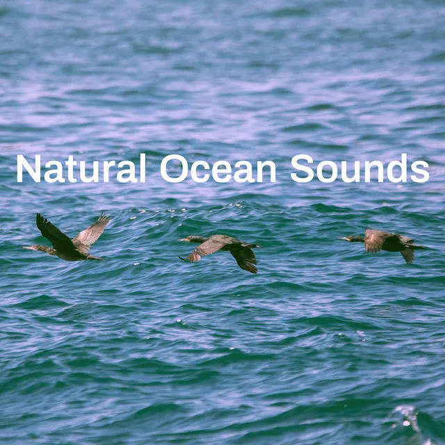 Natural Ocean Sounds