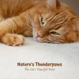 Nature's Thunderpaws: The Cat's Peaceful State by Cats Music Cradle