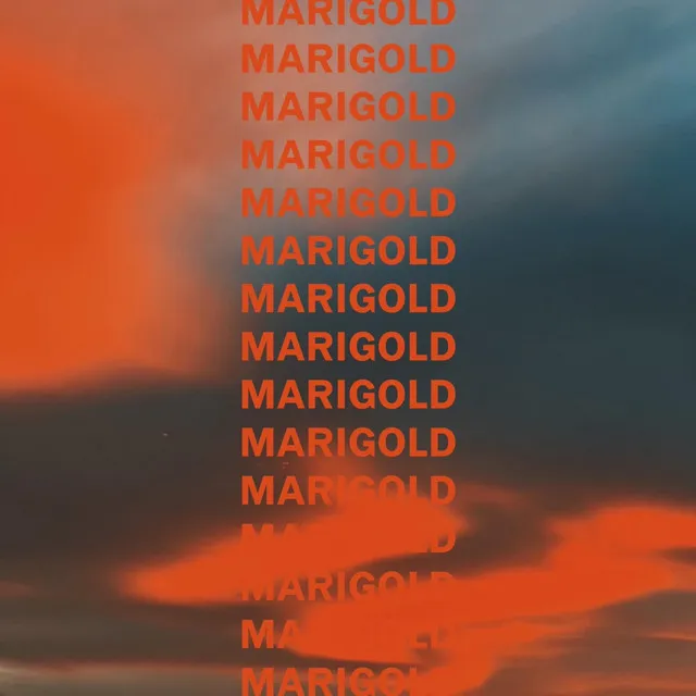 Marigold