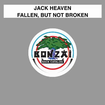 Fallen, But Not Broken by Jack Heaven