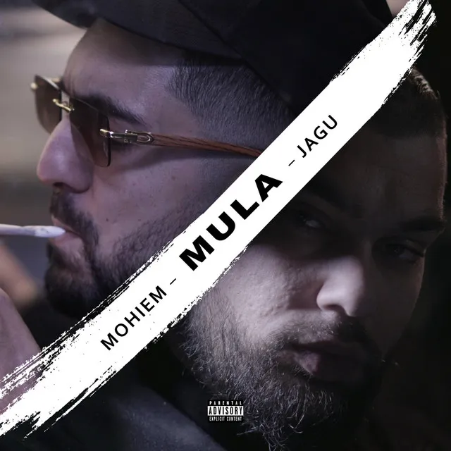 Mula