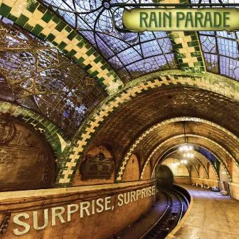 Surprise, Surprise by The Rain Parade