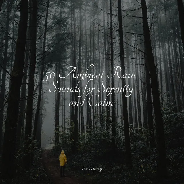 50 Ambient Rain Sounds for Serenity and Calm