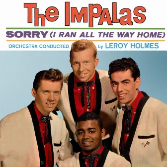 The Impalas Presenting Sorry by The Impalas