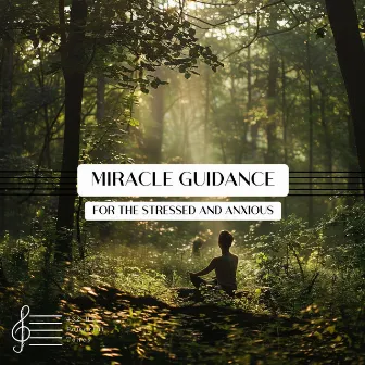 Miracle Guidance for the Stressed and Anxious by 432Hz Miracle Tone