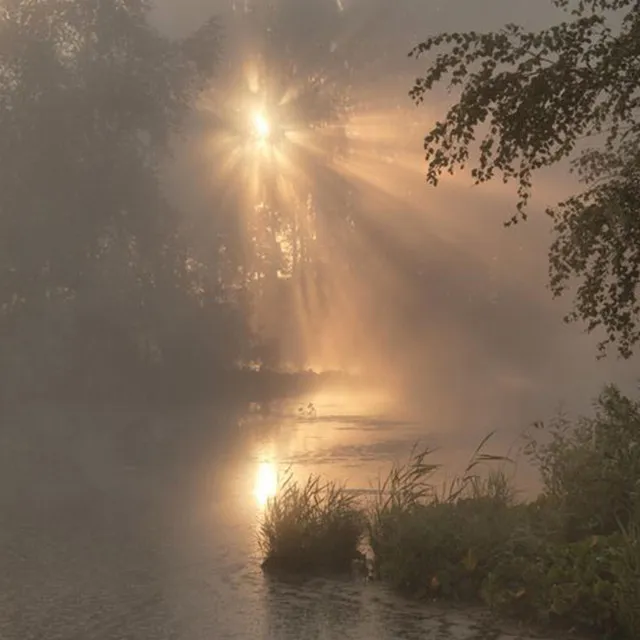 walking in the fog