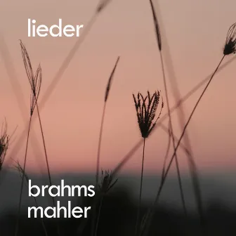 Brahms, Mahler: Lieder by Alma Mahler