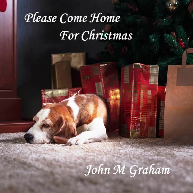 Please Come Home For Christmas