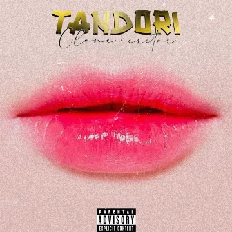 Tandori by Cretor Omega