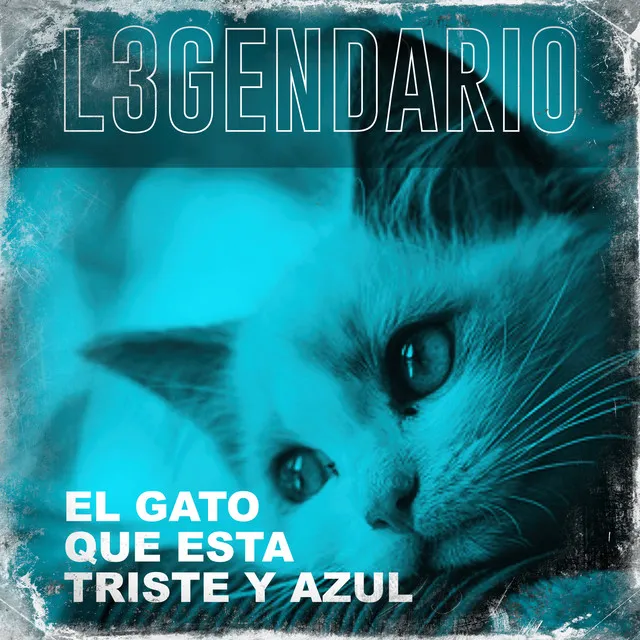 El gato que esta triste y azul