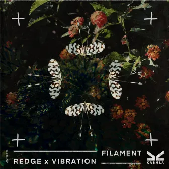 Filament by Redge