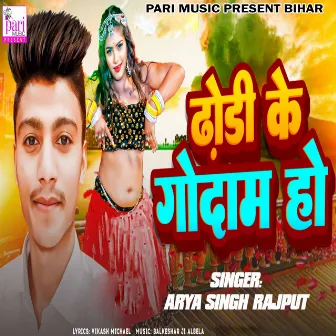 Dhodi Ke Godam Ho by Arya Singh Rajput