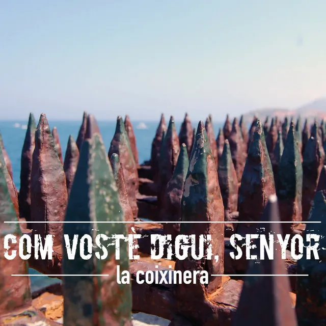 Com Vostè Digui, Senyor