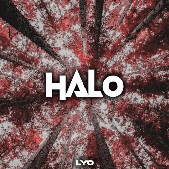 Halo by Lyo