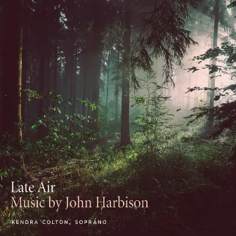 Late Air by Kendra Colton