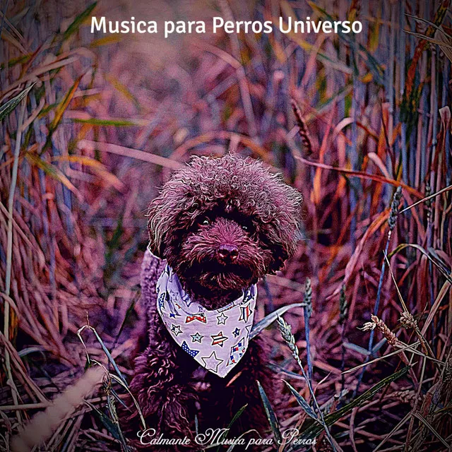 Calmante Musica para Perros