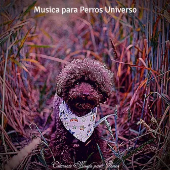 Calmante Musica para Perros by Música para Perros Universo