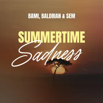 Summertime Sadness by SEM