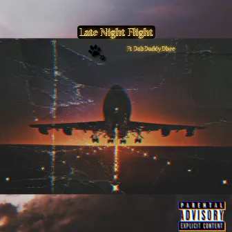 Late Night Flight by Animal4l