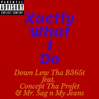 Xactly What I Do by Down Low Tha B365t