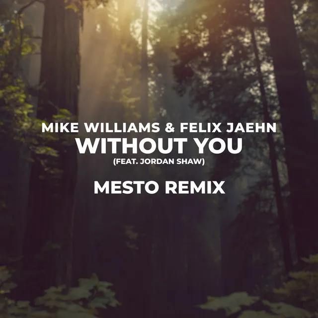 Without You - Mesto Remix