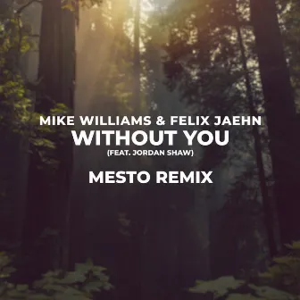 Without You (Mesto Remix) by Mesto