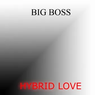 Hybrid Love by Big Boss