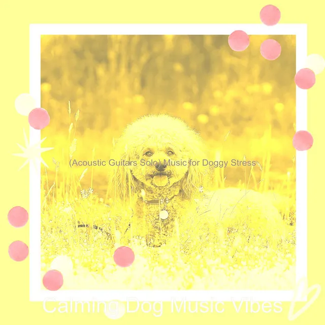 (Acoustic Guitars Solo) Music for Doggy Stress