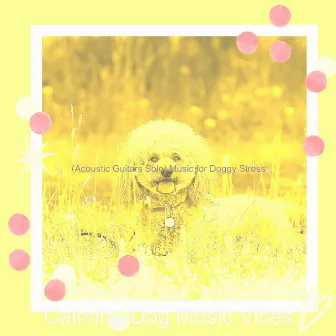 (Acoustic Guitars Solo) Music for Doggy Stress by 