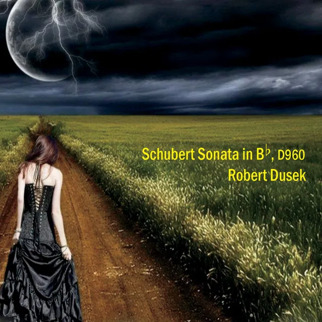 Schubert: Sonata in B-Flat, D. 960