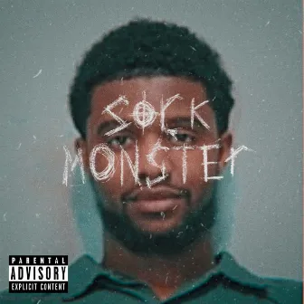 Sock Monster by La Socket