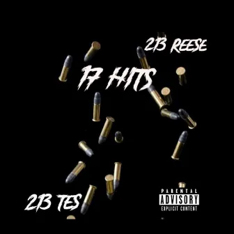 17 Hits by 213Reese