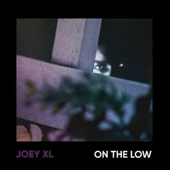 On the Low by Joey XL