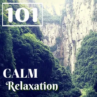 Calm Relaxation 101 - Deep Zen Ambient Music, Relaxing Nature Tracks for Spiritual Connection by Relaxing Spa Music Master